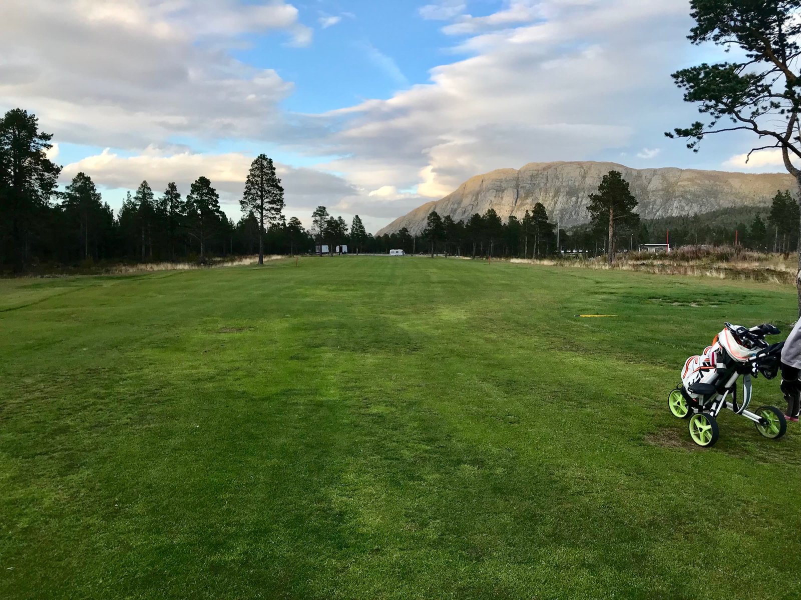 Fairway på Alta Golfpark i kveldssol, med fjellet bak furuskogen